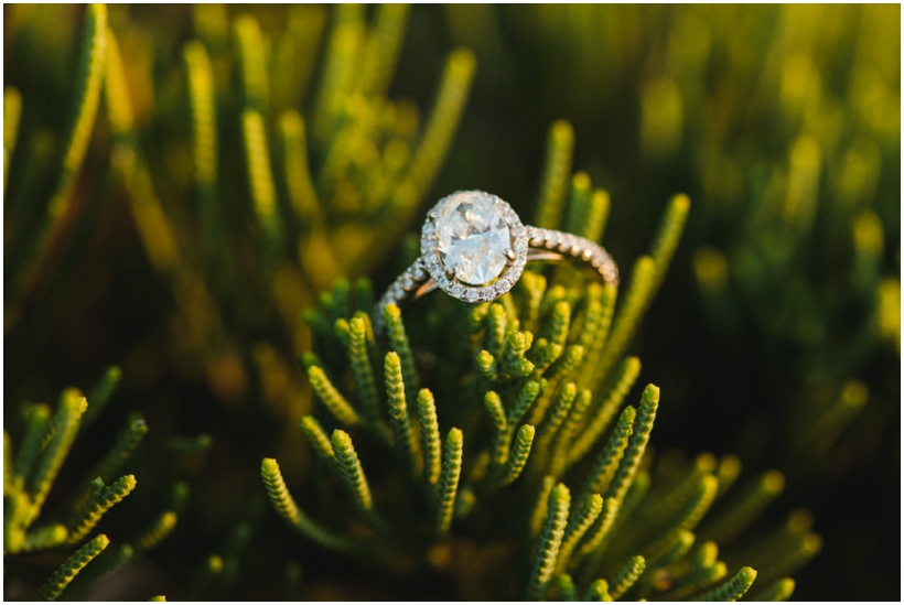 Birmingham Engagement Session by Rebecca Long Photography_Moss Rock Preserve and Open Field Engagement Session_073